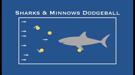 sharks and minnows